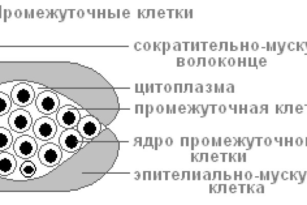 Спрут мега кракен