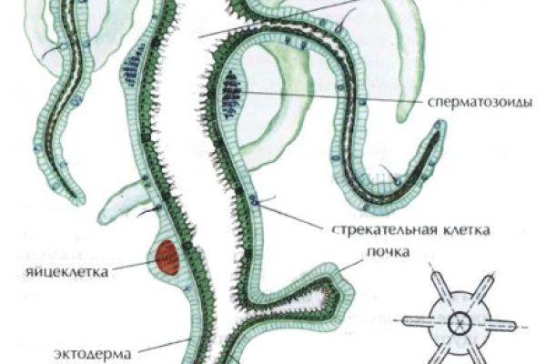 Кракен оригинальная ссылка для тор